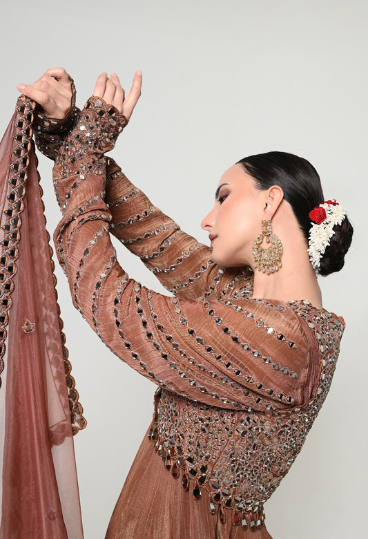Indian Tan Ceremonial Anarkali Set