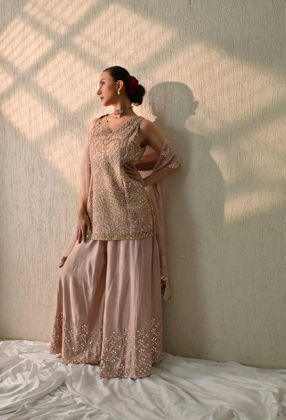 Pench Mirror Kurta Sharara Set