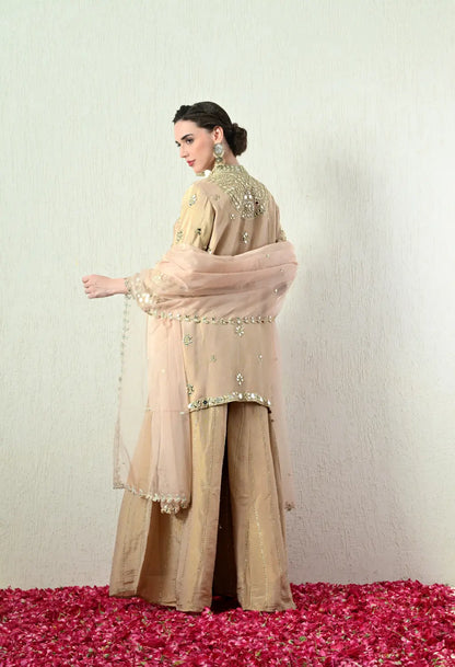 Sand Colour Blouse and Skirt Set