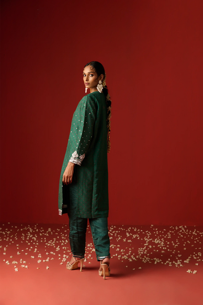 Green Chanderi Silk Hand Embroidered & Printed Kurta Set