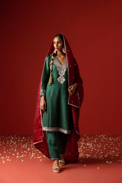 Green Chanderi Silk Hand Embroidered & Printed Kurta Set