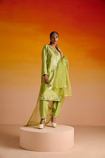 Parrot Green Raw Silk Mirror Hand Embroidered Kurta Set